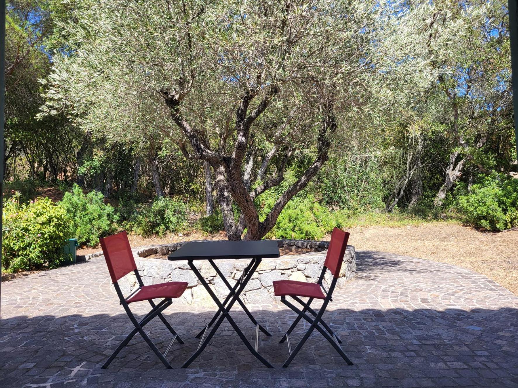 La Romeo, Piscine Et Apartment